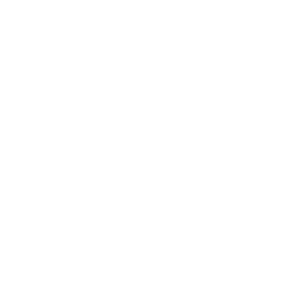 Frances-Riechert-Fotografie-Logo-Transparent-Weiß